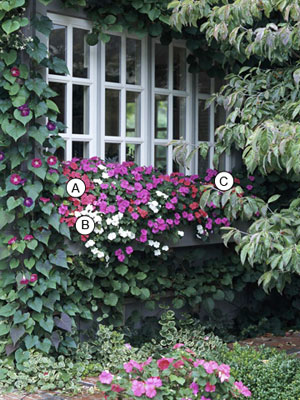 better homes and gardens flower ideas window boxes